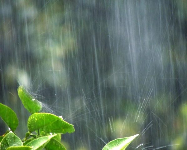 「水害」が多発・激甚化!自然災害リスクで不動産の価値が下がる?